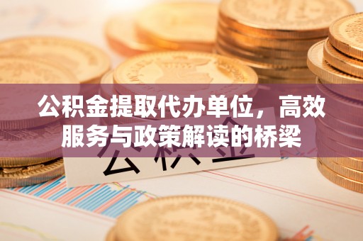 柳城公积金提取代办单位，高效服务与政策解读的桥梁