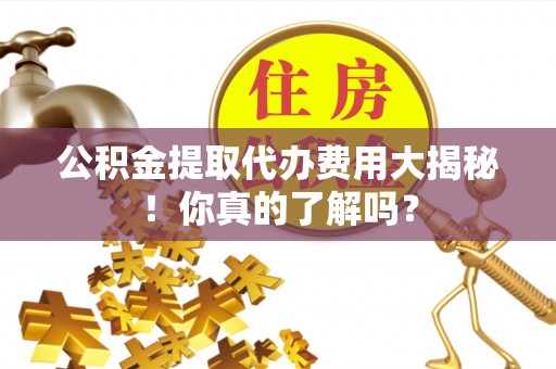 柳城公积金提取代办费用大揭秘！你真的了解吗？