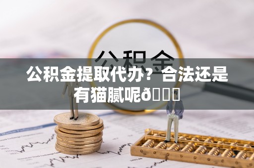 柳城公积金提取代办？合法还是有猫腻呢😏