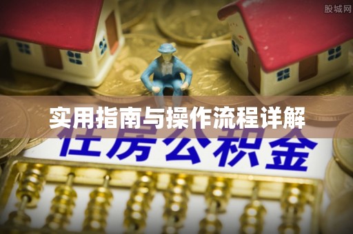 柳城实用指南与操作流程详解